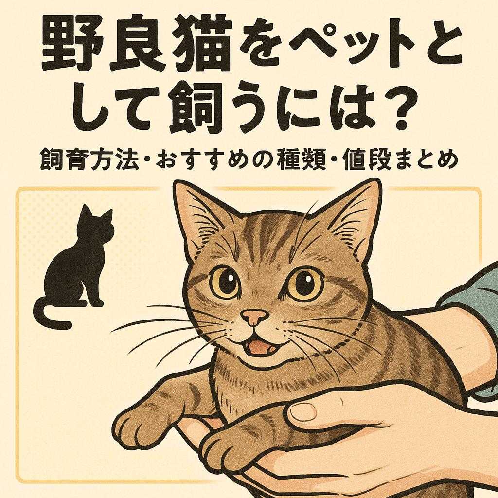 野良猫をペットとして飼うには? 飼育方法・おすすめの種類・値段まとめ