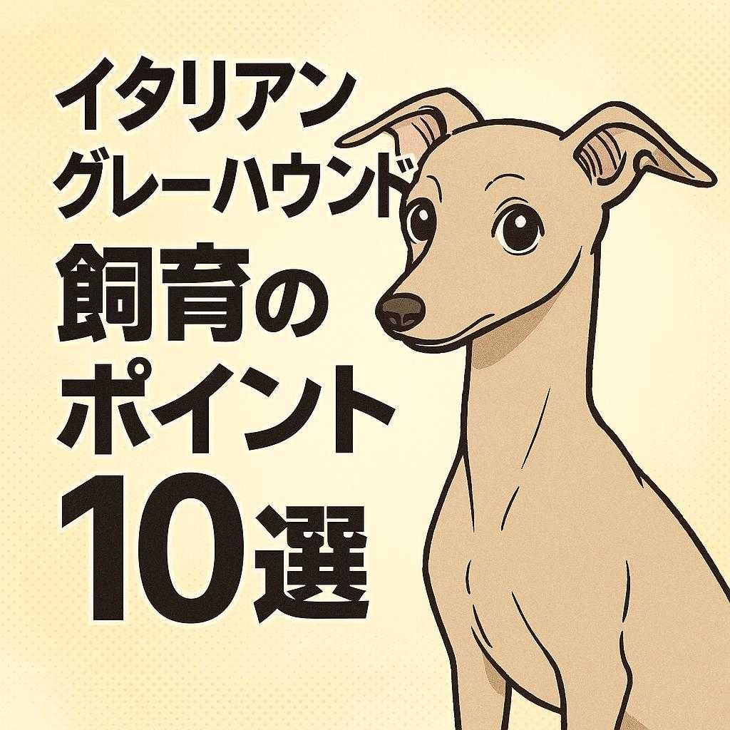 イタリアングレーハウンド　飼育のポイント10選